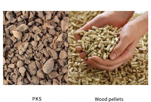 Biomass fuel business